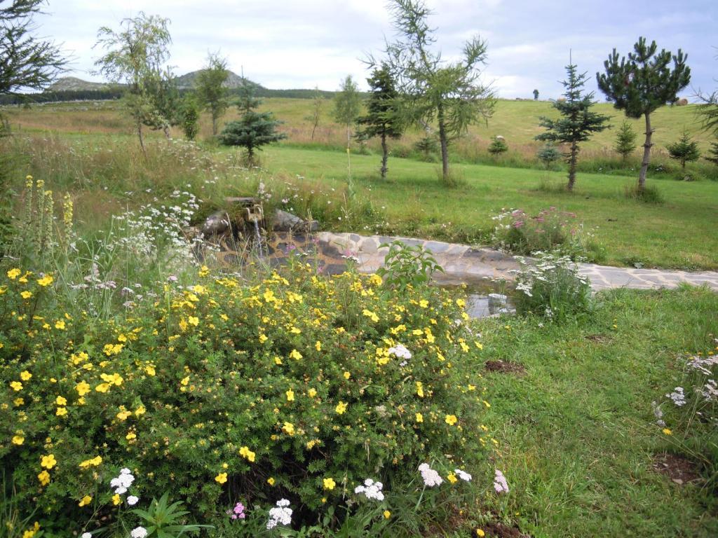 Bed and Breakfast Le Francillon Les Estables Exterior foto